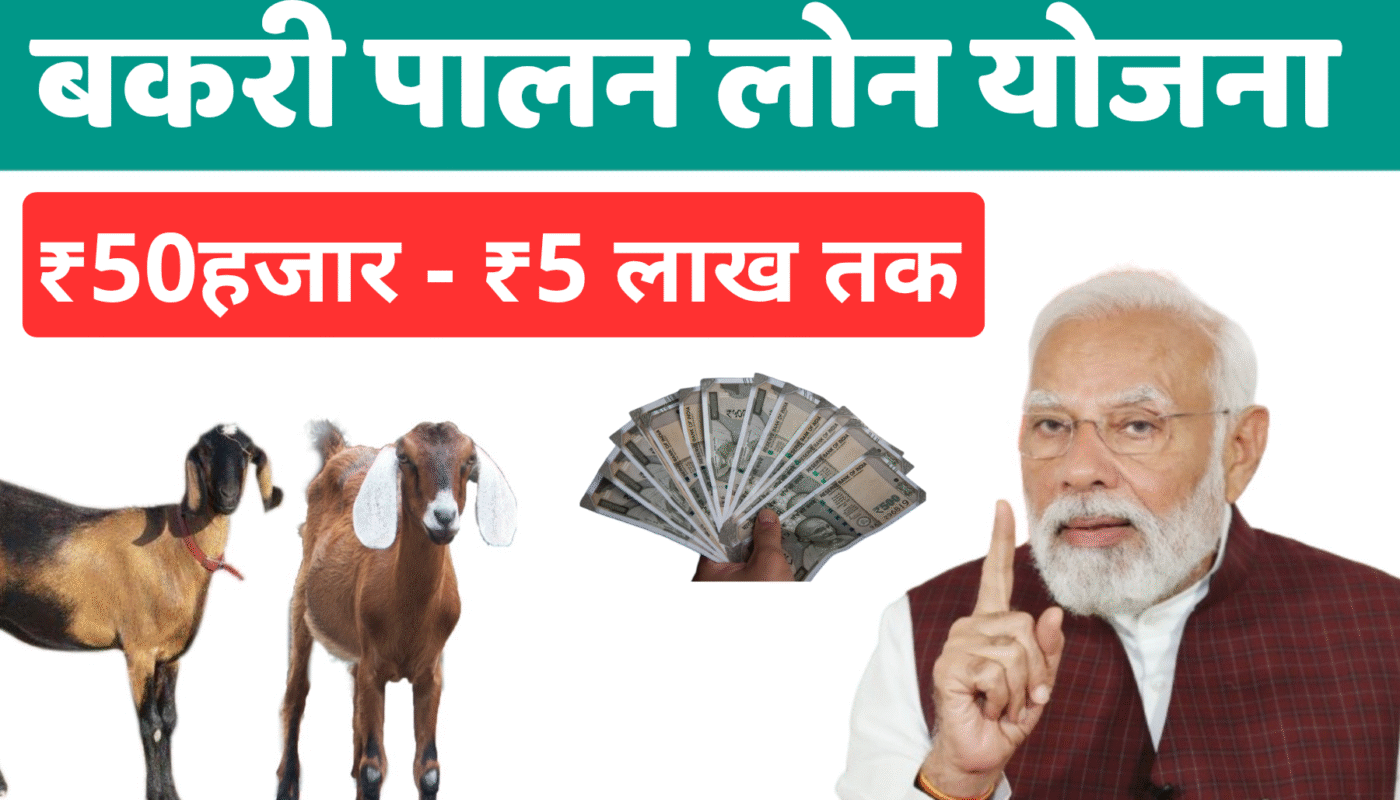 बकरी पालन लोन कैसे प्राप्त करें के लिए जरूरी दस्तावेज और प्रक्रिया 1 बकरी पालन