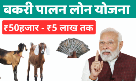 बकरी पालन लोन कैसे प्राप्त करें के लिए जरूरी दस्तावेज और प्रक्रिया 5 बकरी पालन