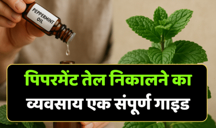 पिपरमेंट तेल निकालने का व्यवसाय: एक संपूर्ण गाइड जिसमें 2-3 महीने में लाखों की कमाई संभव है 4 तेल